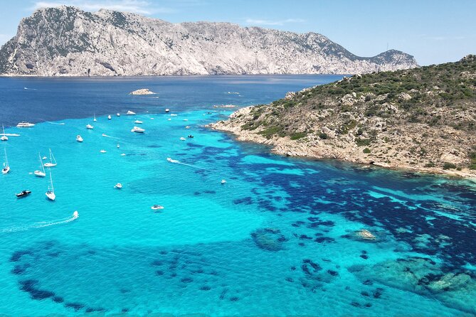 Tavolara excursion - Protected Marine Area, Small Group Energy, Solid 4-Hour Timing