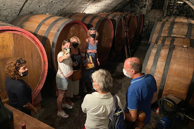 The Grand tour of Valpolicella: 2 Wineries, Lunch & Amarone focus - Key highlights from a Valpolicella day trip that feels personal