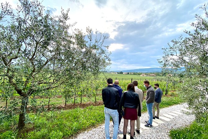 The Grand tour of Valpolicella: 2 Wineries, Lunch & Amarone focus - Sant’Ambrogio di Valpolicella: vineyard walk, indigenous grapes, and grappa