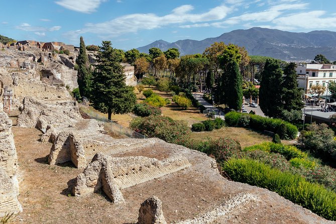 The Ultimate Ruins of Pompeii and Herculaneum Private Day Trip - Pompeii in about 2 hours: the stops that explain the city