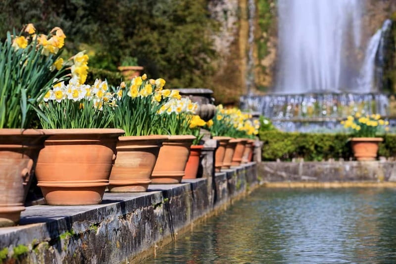 Tivoli: Villa D'Este Entry Ticket and App Audio Guide - The palace and the Ippolito II d’Este connection