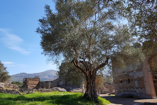 Tivoli Villas Full Day Trip From Rome with Lunch - How the guide and headsets change your day