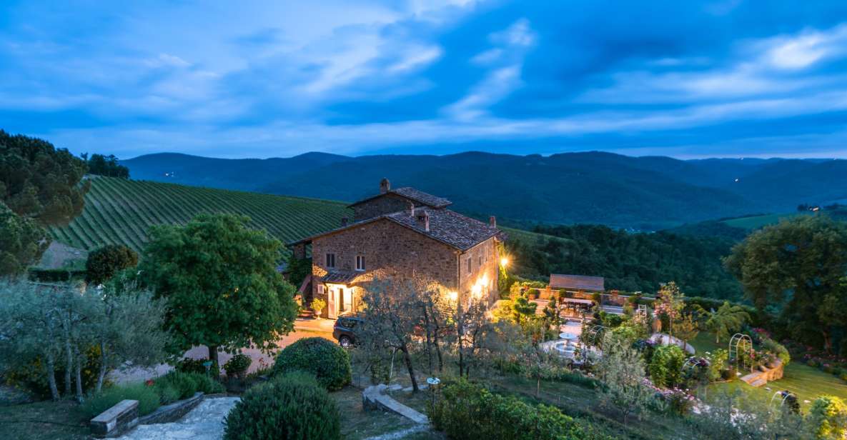 Total Immersion Wine Tour in Chianti - Quick Reasons This Chianti Tour Works