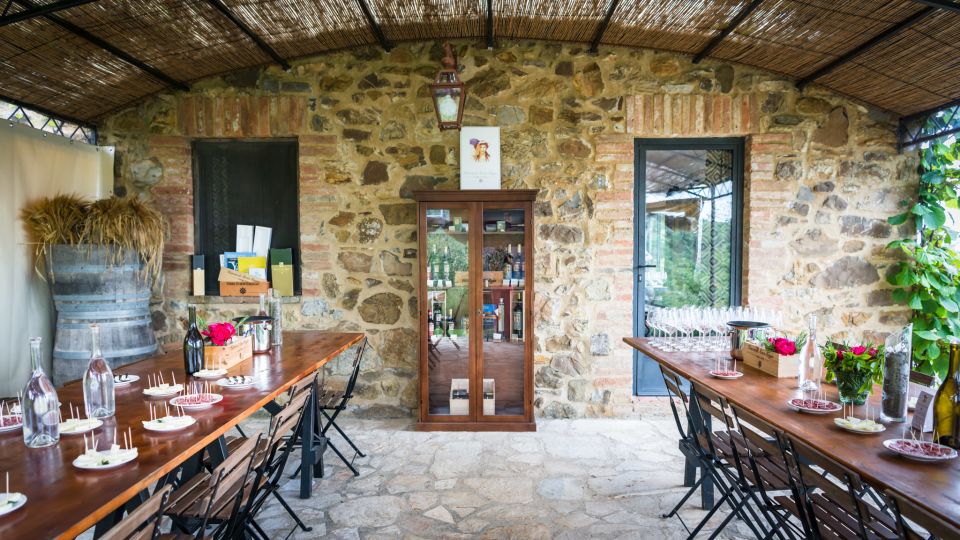 Total Immersion Wine Tour in Chianti - Who This Chianti Classico Organic Tour Is For