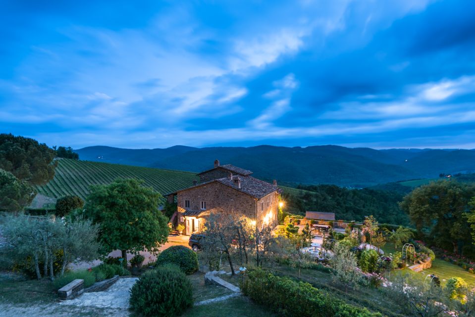 Total Immersion Wine Tour in Chianti - Vineyard Walk: Seeing Organic Work Where It Starts