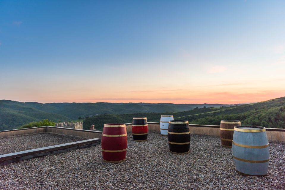 Total Immersion Wine Tour in Chianti - Food Pairing at Montemaggio: Olive Oil Bread, Cheese, and Salami