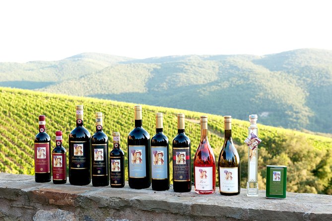 Tour and Tasting at an Organic Winery in the Heart of Chianti Classico Area - Key highlights I’d plan around