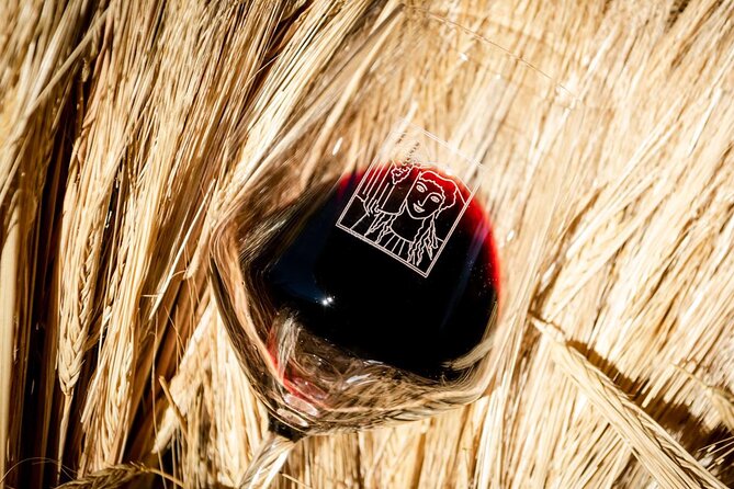 Tour and Tasting at an Organic Winery in the Heart of Chianti Classico Area - Francesco’s style: how a sommelier turns tasting into something you can use