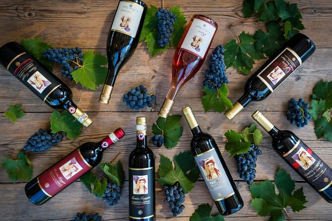 Tour and Tasting at an Organic Winery in the Heart of Chianti Classico Area - Views, dirt roads, and finding the meeting point on time