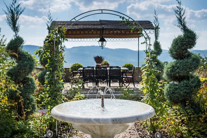 Tour and Tasting at an Organic Winery in the Heart of Chianti Classico Area - Price and value: what $48.36 buys you in Chianti Classico