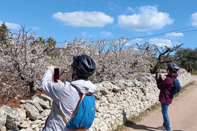 Tour Ebike Trulli Alberobello - Alberobello in 30 Minutes: Sant’Antonio, Rione Monte, and the Town Core