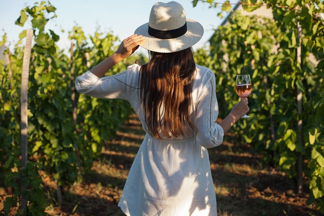 Tour Etna & Wine Tasting - Key highlights you’ll feel on the day