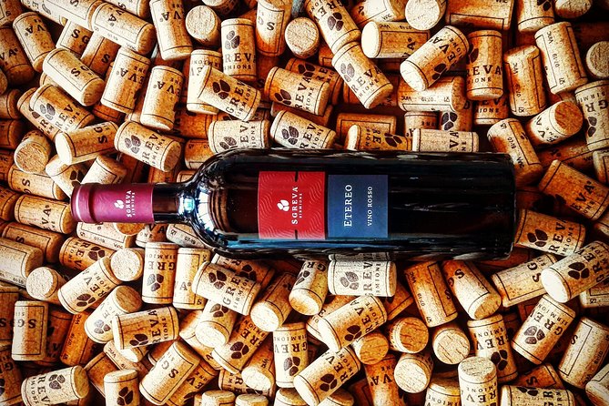 Tour in the Winery and tasting - Should You Book This Lugana Tasting Tour?