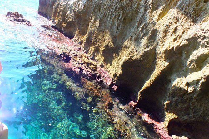 Tour of the island of Ortigia and exploration of sea caves with baths. - Skippers and Storytelling: Franco, Laura, Stefano, and the English-Check Moment