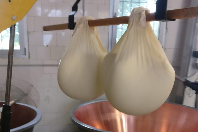 Tour Parmigiano Reggiano dairy and Parma ham - Parma ham tastings with sparkling Malvasia and Lambrusco
