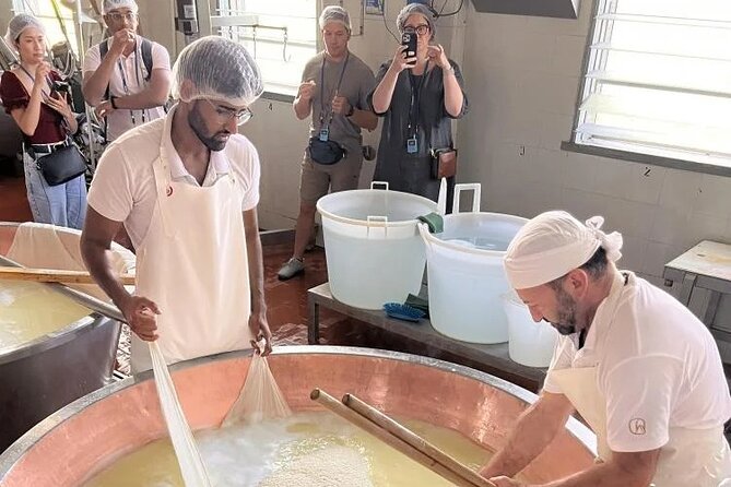 Tour Parmigiano Reggiano dairy and Parma ham - What the minivan day feels like: timing, group size, and comfort