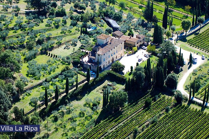 Tour through the vineyards and wine and olive oil tasting in Tuscany - 6 Things That Make Villa La Ripa’s Tuscany Tour Worth Your Time