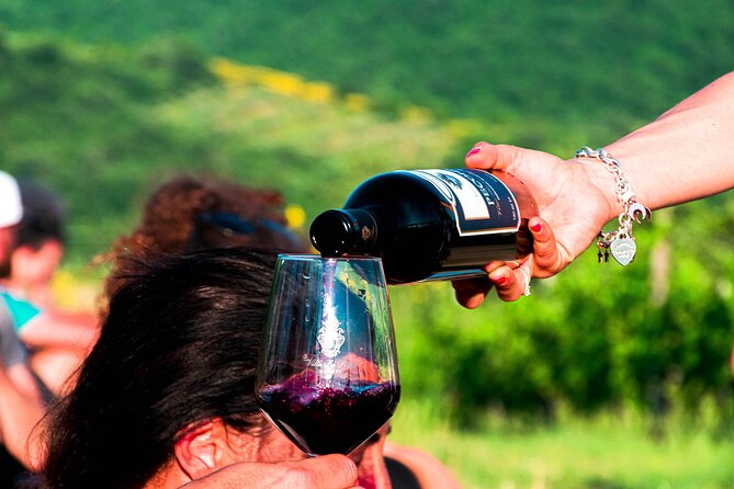 Tour through the vineyards and wine and olive oil tasting in Tuscany - Finding Villa La Ripa (and why GPS can be annoying)