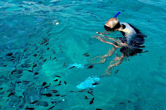 Tour to Figarolo Island with the possibility to observe dolphins - Stop by stop: Figarolo Island swim time you’ll remember