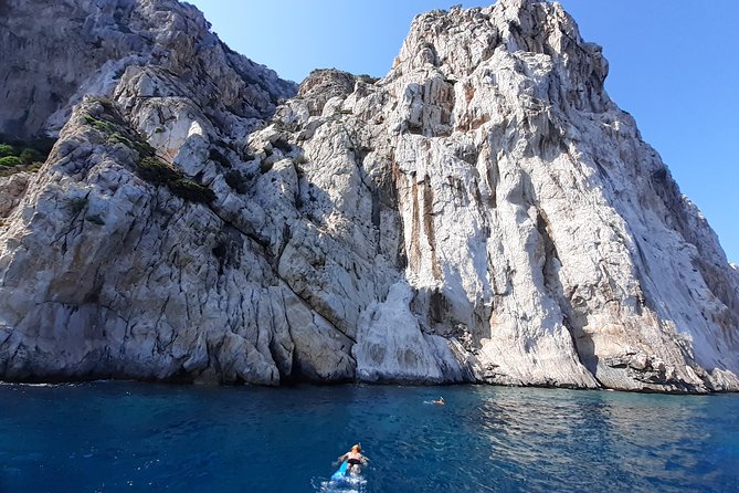 Tour to Figarolo Island with the possibility to observe dolphins - The second swim stop: a snack break with sea views