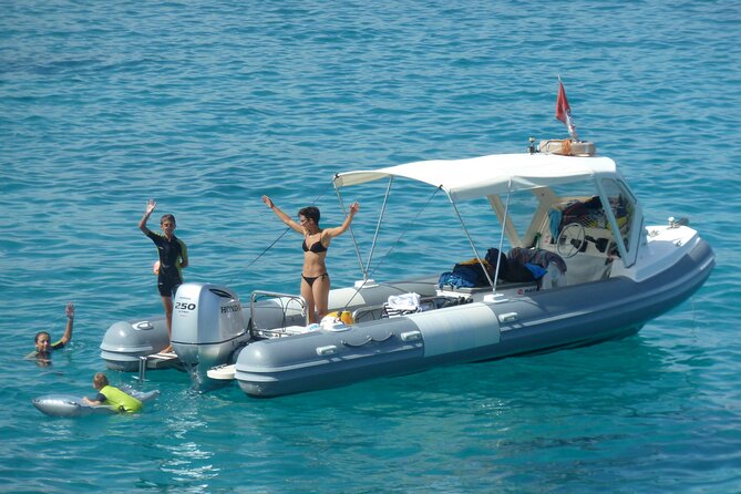 Tour to Figarolo Island with the possibility to observe dolphins - Marine guide help: what to notice under the surface