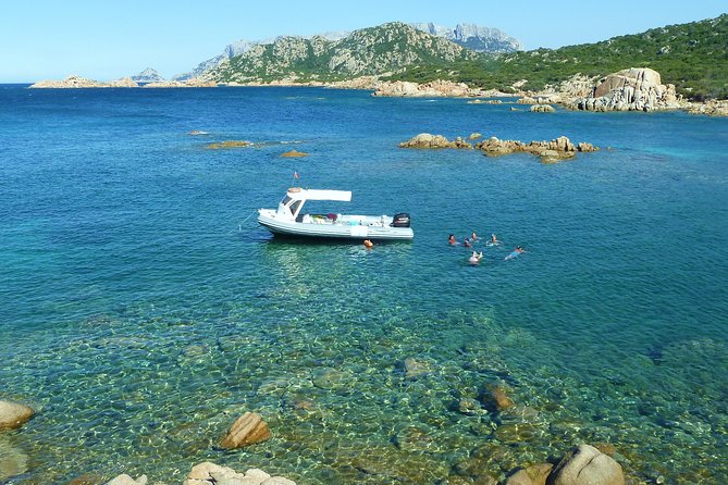 Tour to Figarolo Island with the possibility to observe dolphins - Price and value: what $72.59 buys you on the water