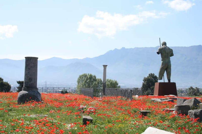 TRAMVIA -Da Naples: Pompei Ruins and Vesuvio Transfer by Bus - What to bring (and what to leave at home)