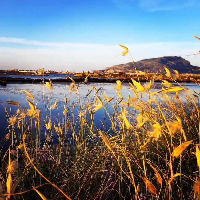 Trapani: 2-Hour Salt Flats Tour - Value Check: Is $51.24 Worth It for What You Get?