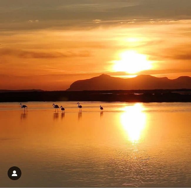 Trapani: Salt Pans Sunset Tour and Flamingo Way - Hotel pickup, audio guide, and how the van keeps time moving