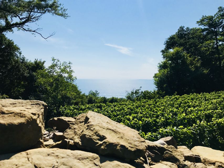 Trieste: 2.5-Hour Prosecco Origins Tour and Tastings - Key highlights worth circling