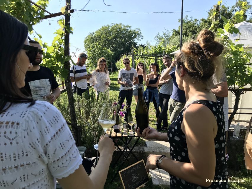 Trieste: 2.5-Hour Prosecco Origins Tour and Tastings - Who this Trieste Prosecco origins tour suits best