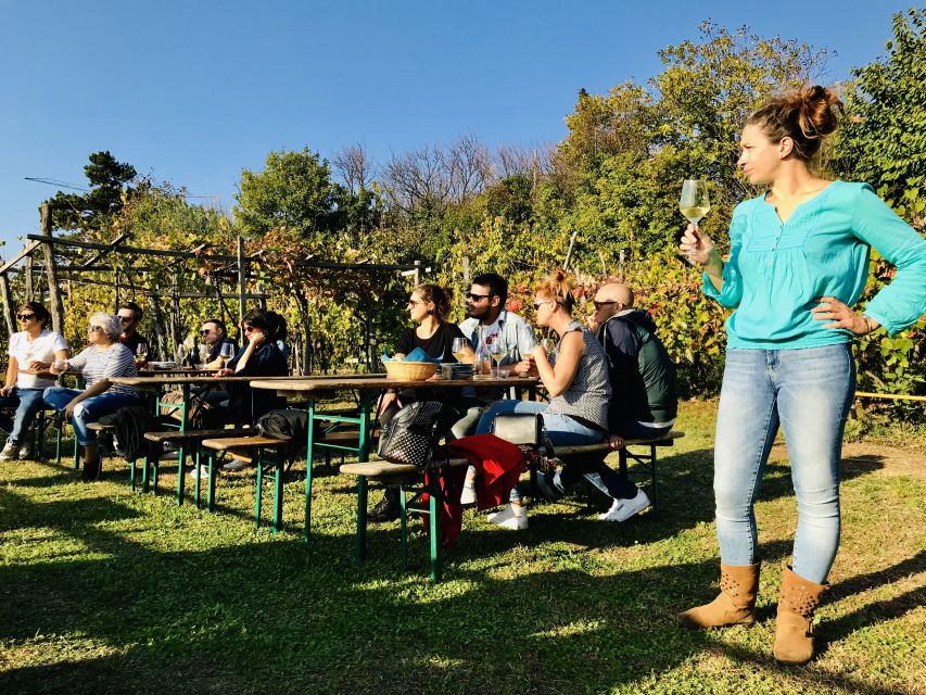 Trieste: 2.5-Hour Prosecco Origins Tour and Tastings - The terraced vineyard trail along the Adriatic: heroic agriculture on foot