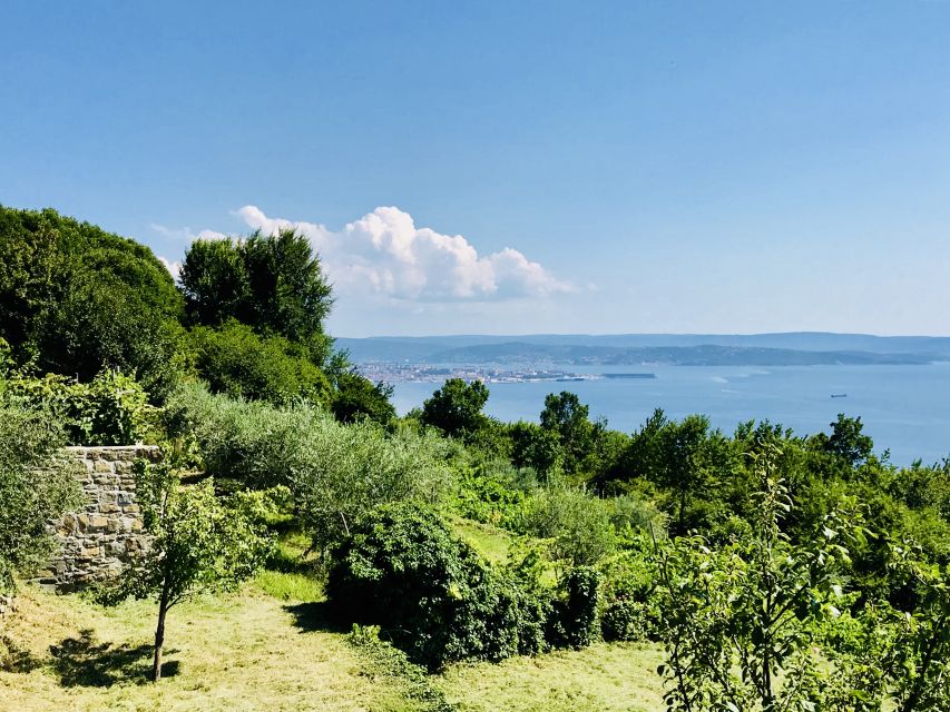 Trieste: 2.5-Hour Prosecco Origins Tour and Tastings - What you’ll taste: traditional sparkling wines and local farmhouse pairings