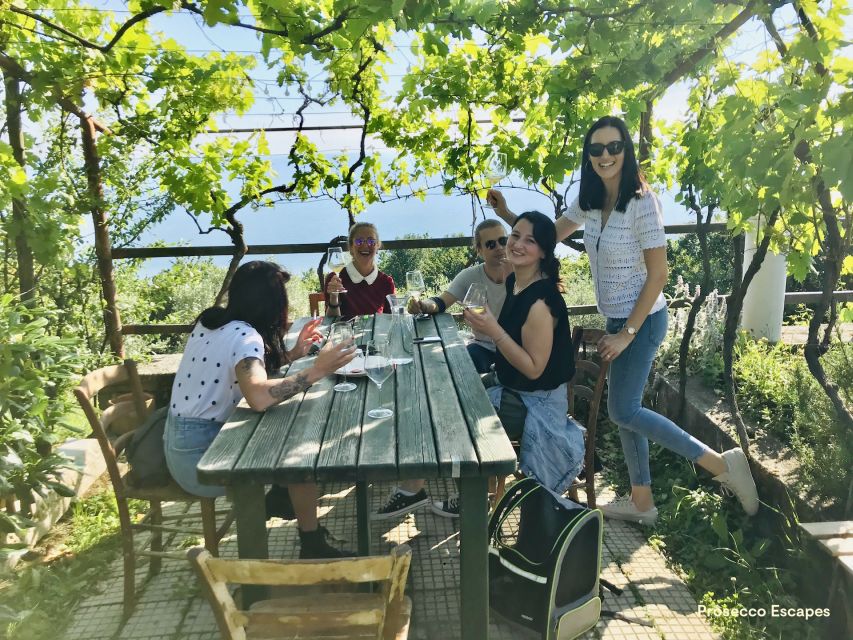 Trieste: 2.5-Hour Prosecco Origins Tour and Tastings - Price and value: why $71 can work better than a bigger-ticket day
