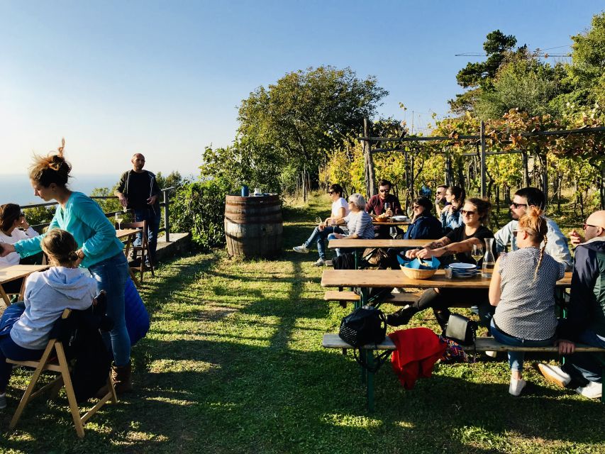 Trieste: 2.5-Hour Prosecco Origins Tour and Tastings - Timing, walking effort, and what to pack