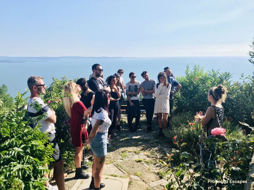 Trieste: 2.5-Hour Prosecco Origins Tour and Tastings - Meeting at Laghetto di Contovello: the one logistics detail that matters