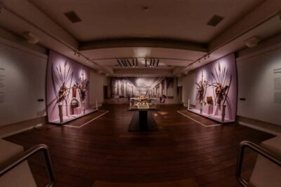 Trieste: Miramare Castle & Museum Entry Ticket & Audio App - Inside the National Museum: What the Exhibits Add to Your Visit