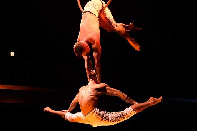 Troy Dinner-Show - Family-friendly or just myth-lovers? Who Troy fits best