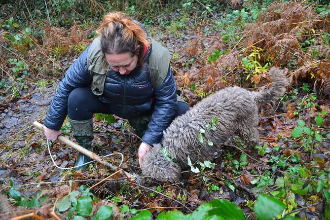 Truffle Hunting Experience with Lunch in San Miniato - From Florence to San Miniato: the simple train + taxi plan