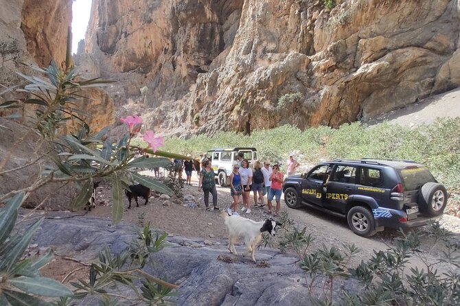 Trypiti beach and gorge Jeep Safari - Canyon St. Sava and the Trypiti gorge descent: photos plus real action