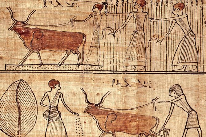 Turin Egyptian Museum Entry Ticket plus Turin Digital Audioguide - Why the Turin Egyptian Museum feels different from most museum tickets