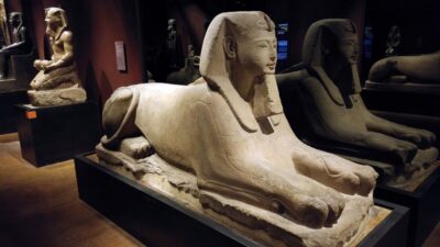Turin: Guided Egyptian Museum Tour - Museo Egizio logistics: meeting point and time discipline