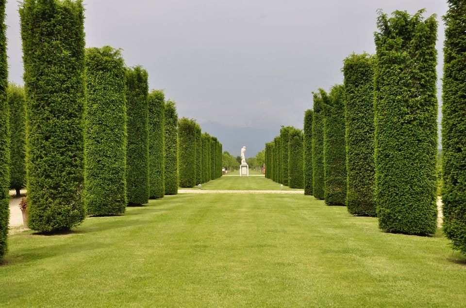 Turin: Palace of Venaria Guided Tour - Key Highlights You’ll Notice Fast