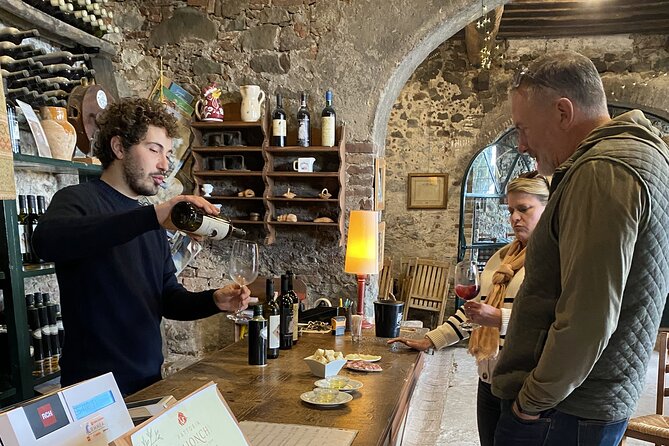 Tuscan Wine Tour in Lucca by van - Stop 1 in Lucca: touring a real winery and meeting the makers