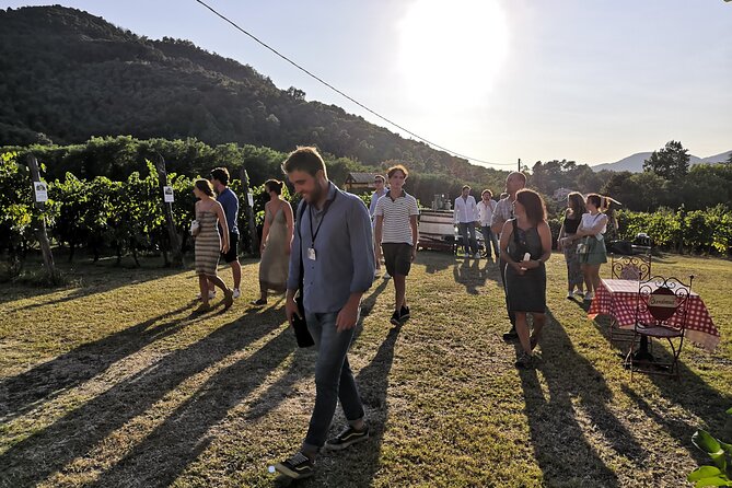 Tuscan Wine Tour in Lucca by van - Your morning start in Lucca: meeting point and what to do first