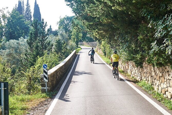 Tuscany Bike Tour with Wine, Oil and Food in the Florentine Hills - Bikes, hills, and who this tour is really for