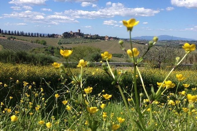 Tuscany Bike Tours Through the Chianti Hills with Wine Tasting - Guides Make It: Ben, Filippo, Angus, Alessio, and the Team Energy