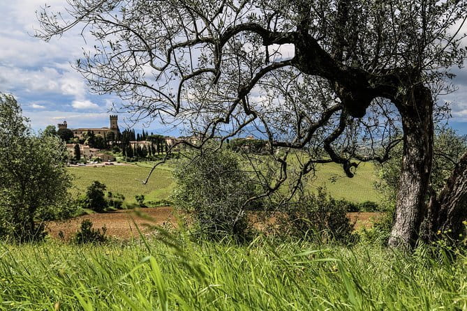 Tuscany E-Bike Tour: from Florence to Chianti with lunch and tastings - Price and what $138.17 buys you (and what it doesn’t)