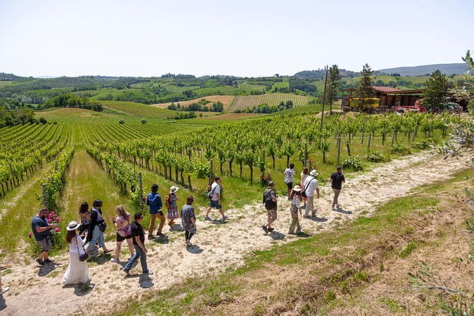 Tuscany E-Bike Tour: from Florence to Chianti with lunch and tastings - Guide energy: how the ride becomes a story (and not just movement)