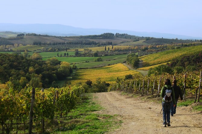 Tuscany Hiking Tour from Siena Including Wine Tasting - Transport back to Siena: you’re not guessing your way home